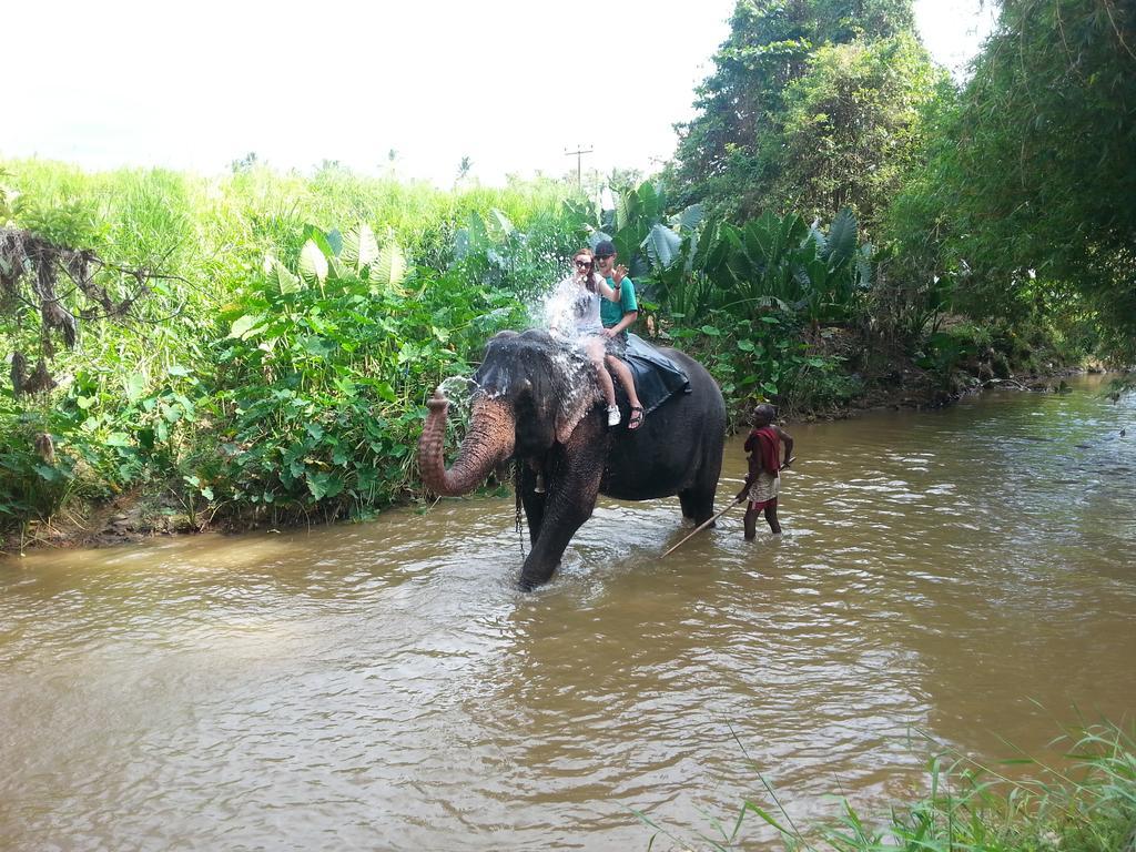 Elephant Reach Villa Pinnawala Пиннавела Экстерьер фото